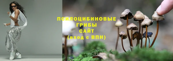 шишки Алексеевка
