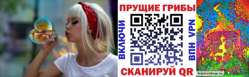 Галлюциногенные грибы MAGIC MUSHROOMS  продажа наркотиков  Бахчисарай 