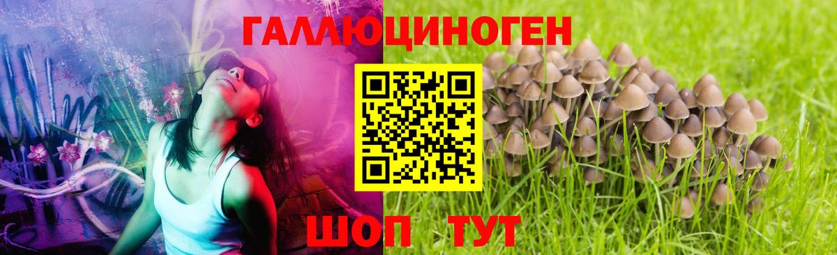 Галлюциногенные грибы MAGIC MUSHROOMS  Псилоцибиновые грибы прущие грибы  Вход с VPN  Бахчисарай 